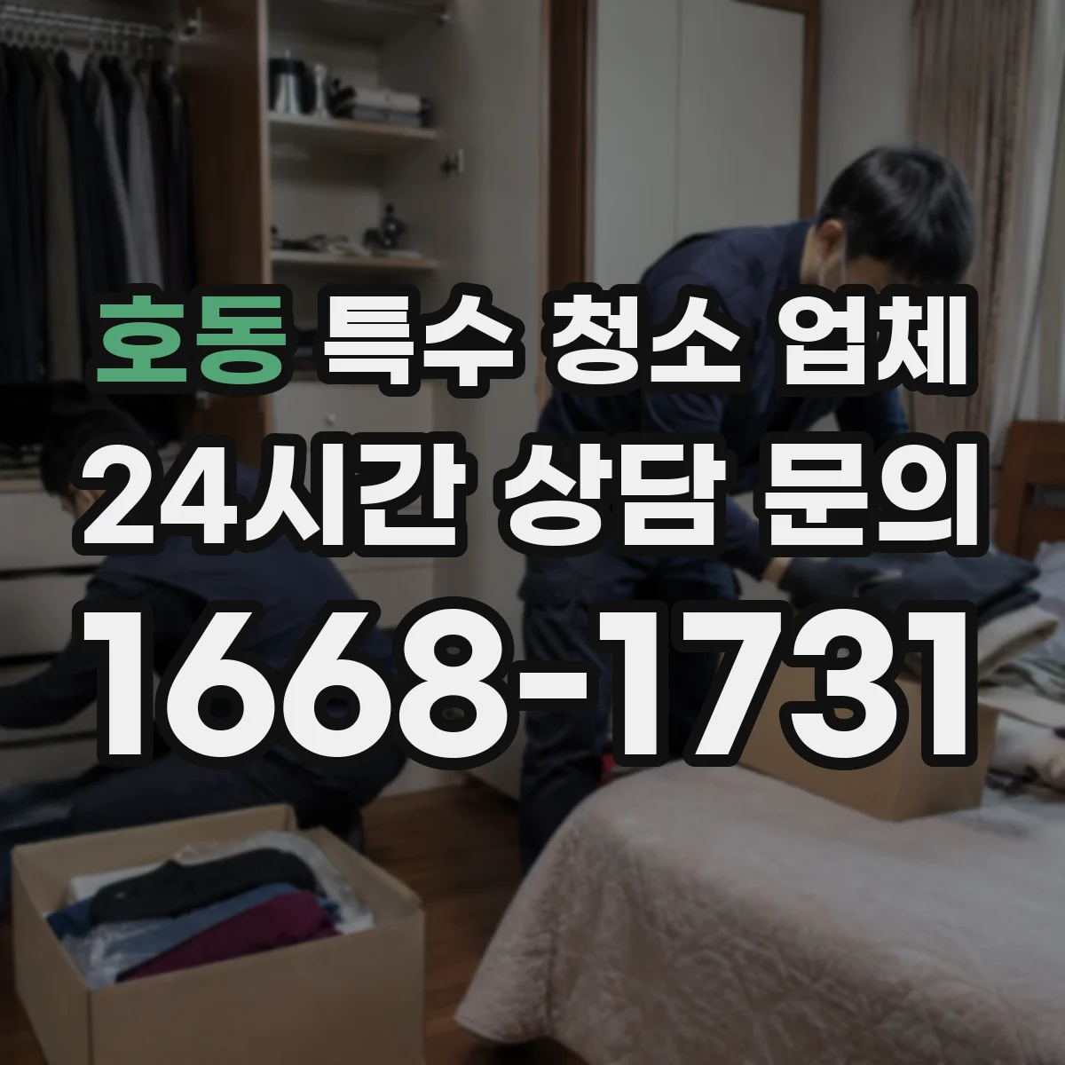 호동 특수 청소 업체