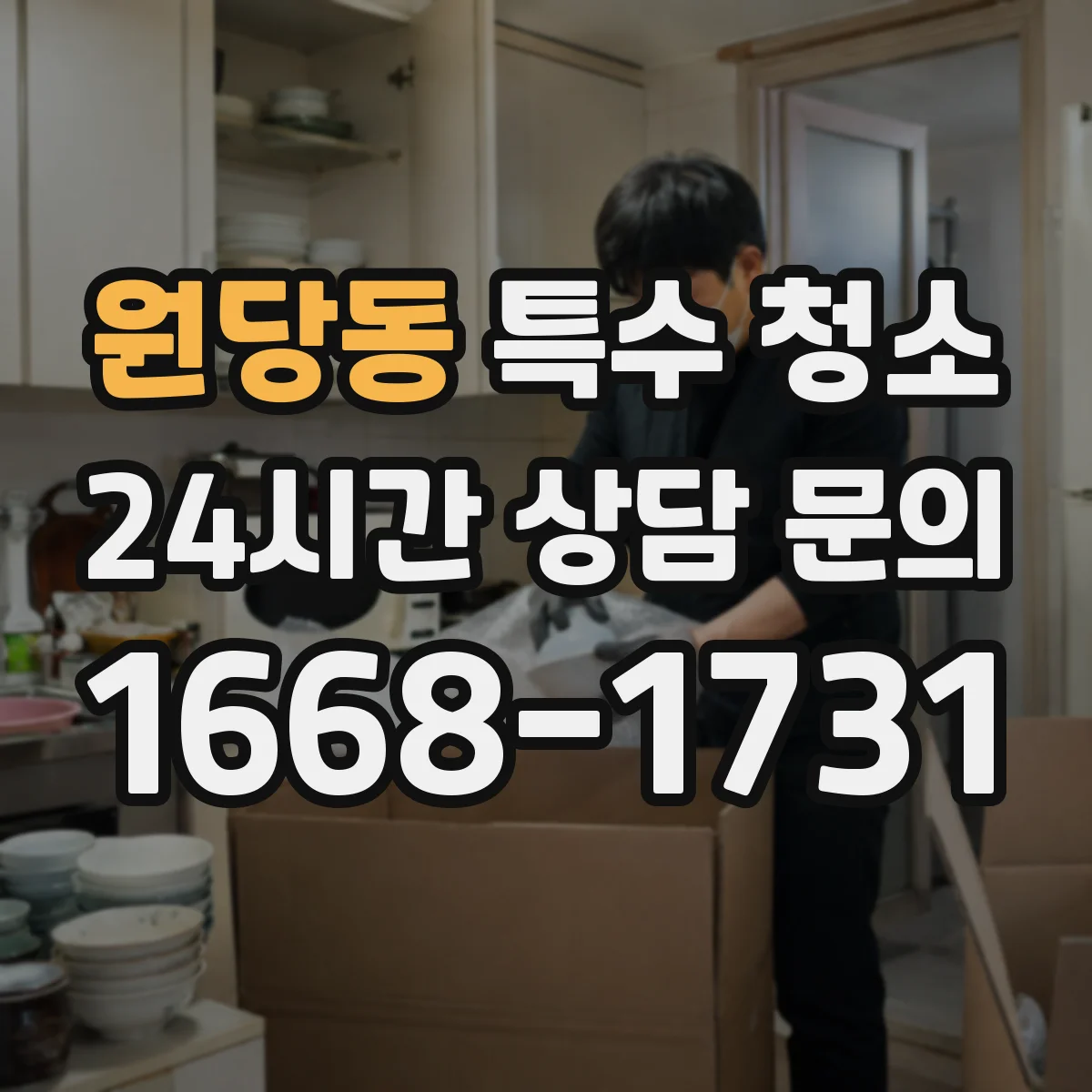 원당동 특수 청소