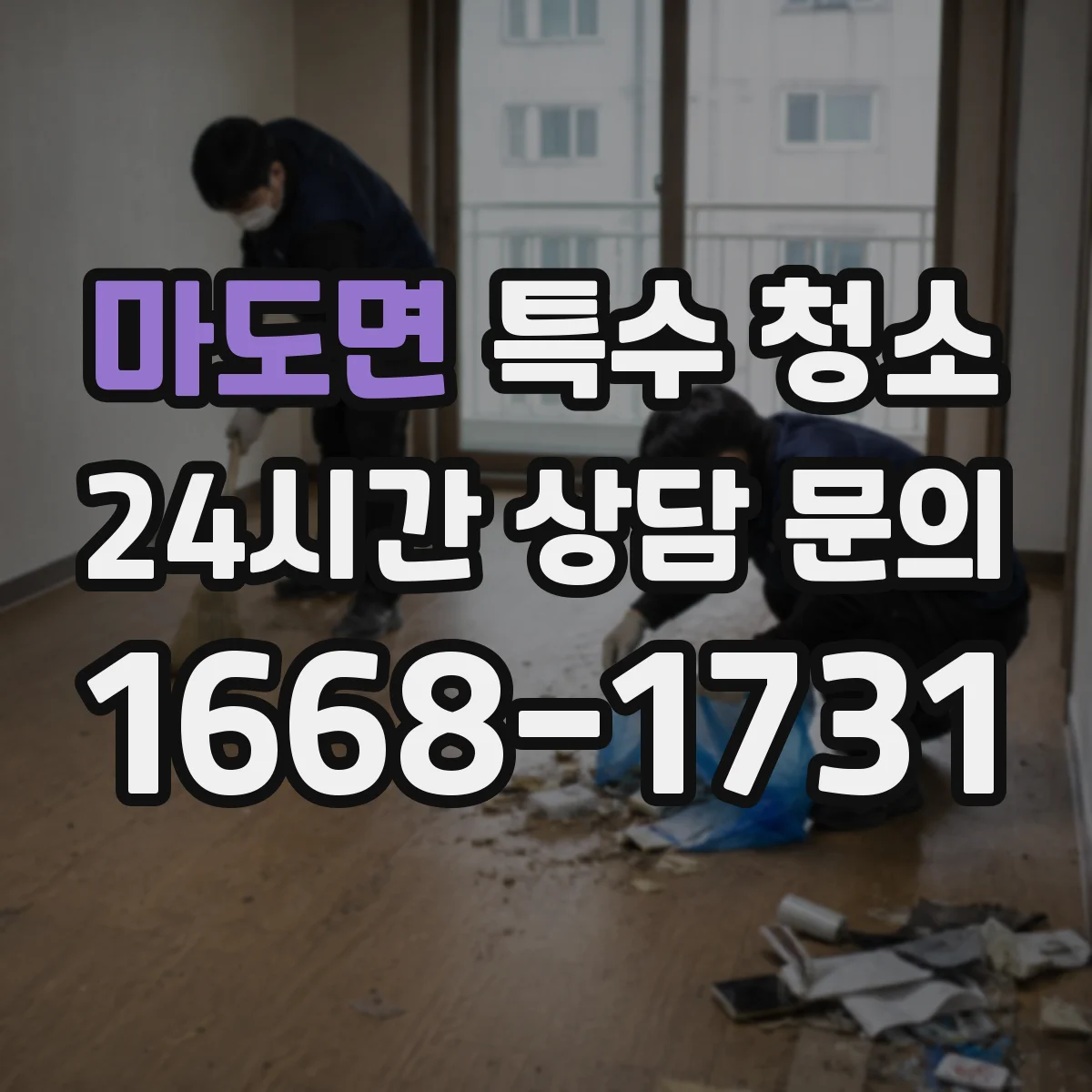마도면 특수 청소