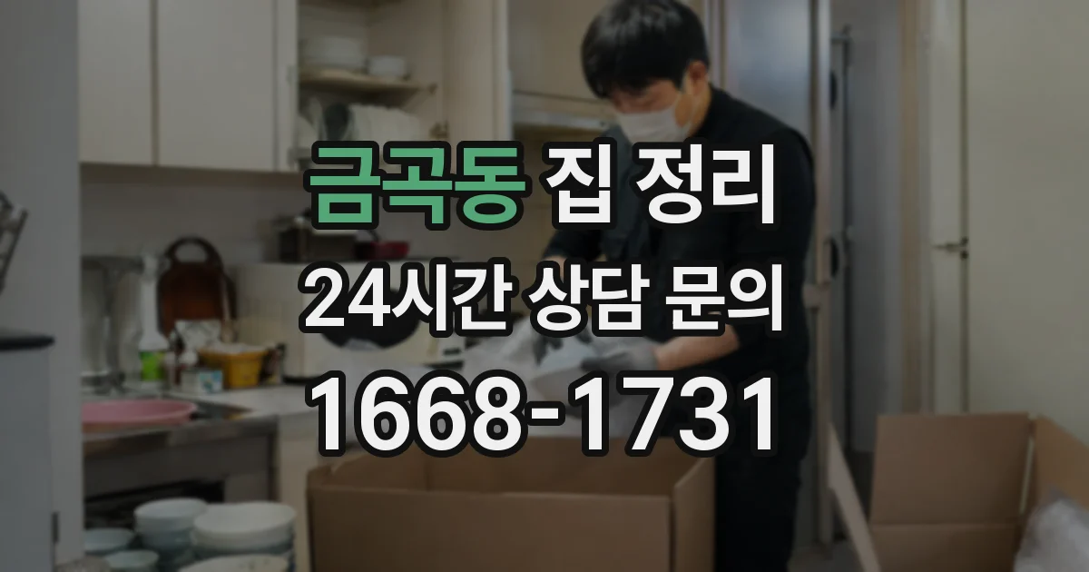 금곡동 집 정리