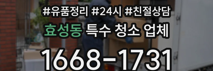 효성동 특수 청소 업체