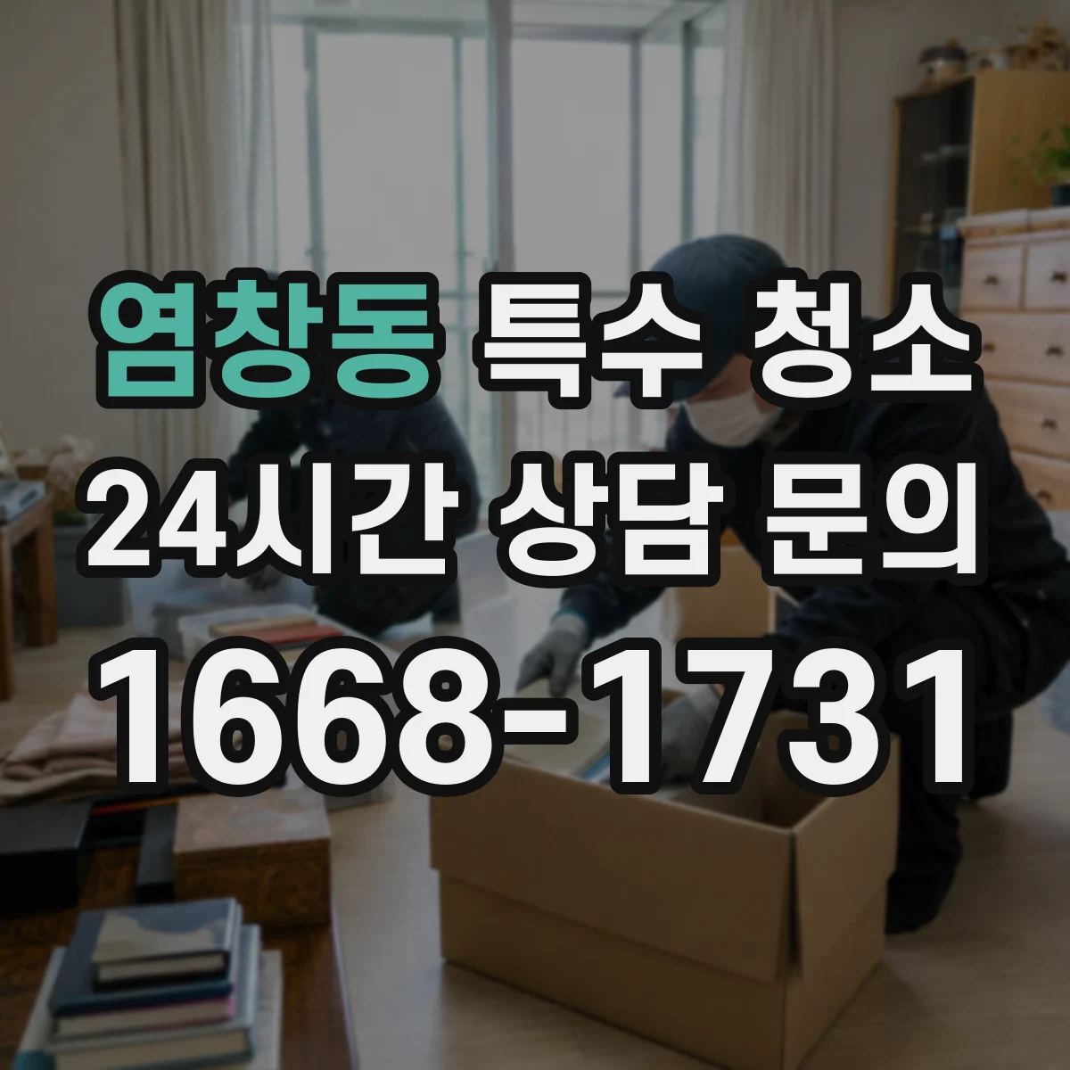 염창동 특수 청소