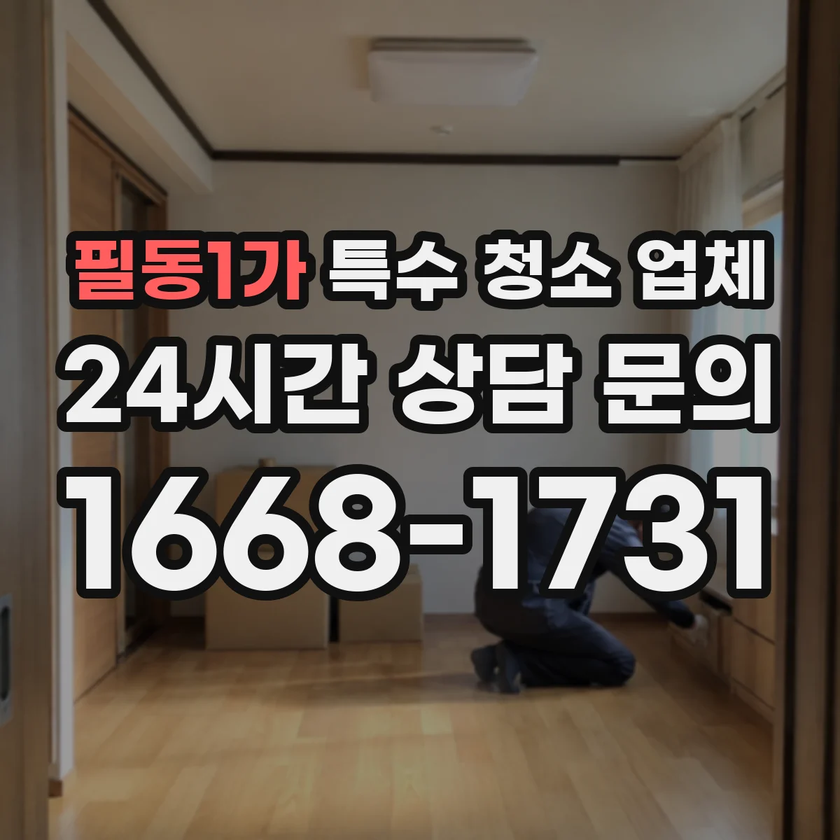 필동1가 특수 청소 업체