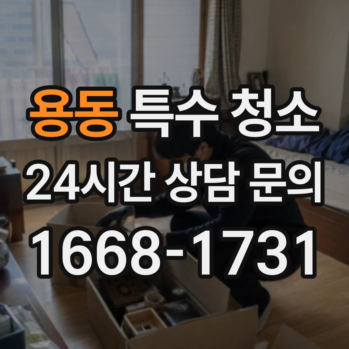 용동 특수 청소