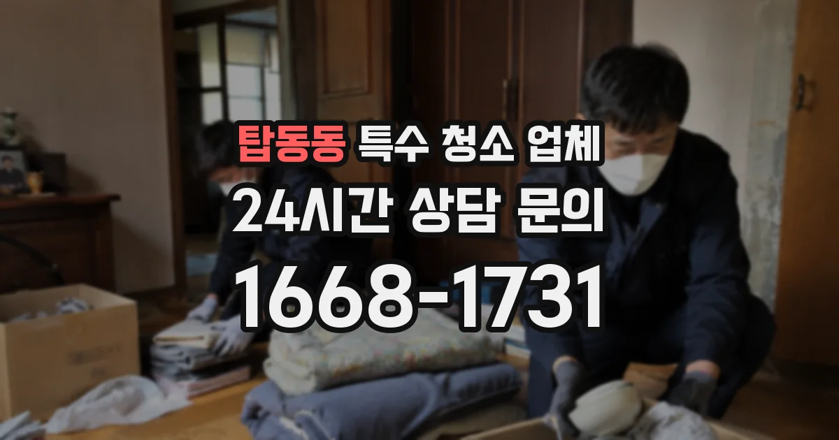 탑동동 특수 청소 업체