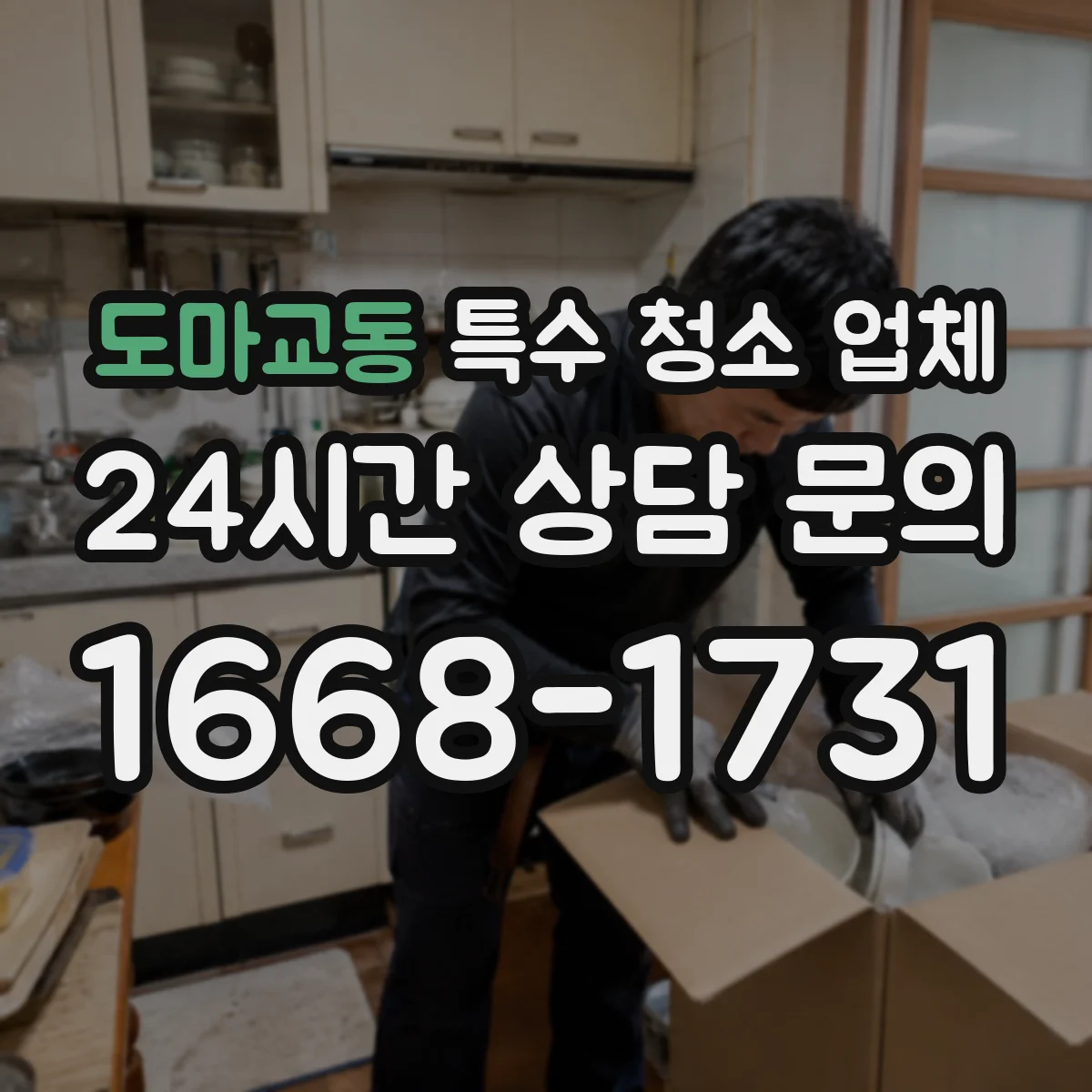 도마교동 특수 청소 업체
