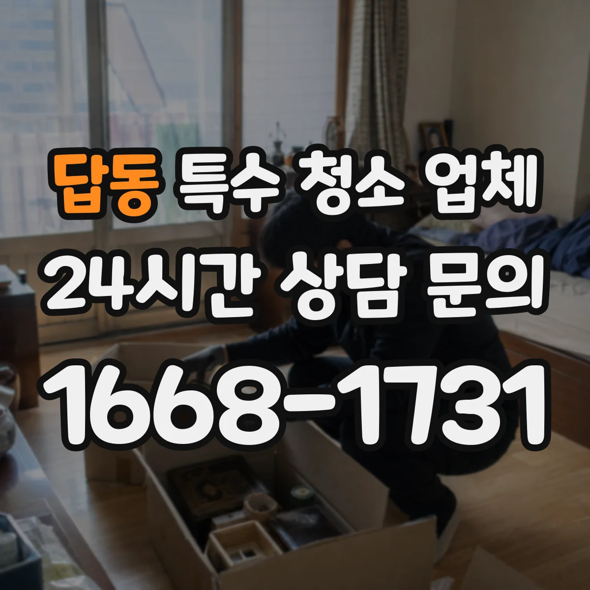 답동 특수 청소 업체