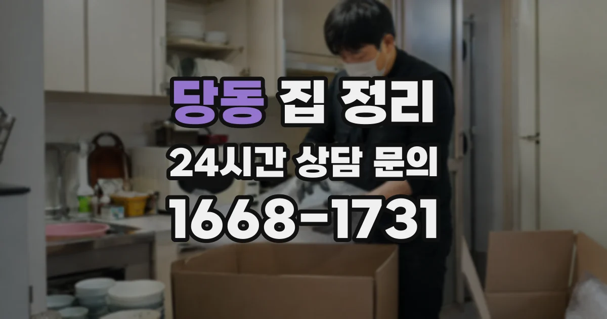 당동 집 정리