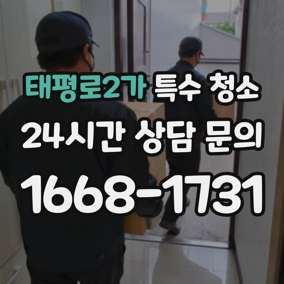 태평로2가 특수 청소