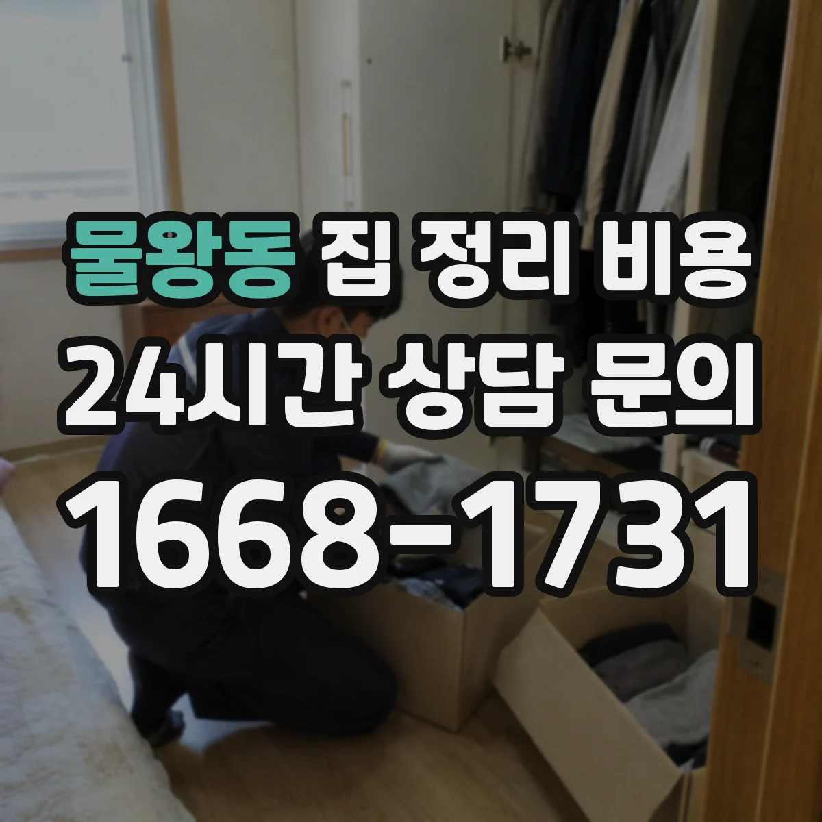 물왕동 집 정리 비용