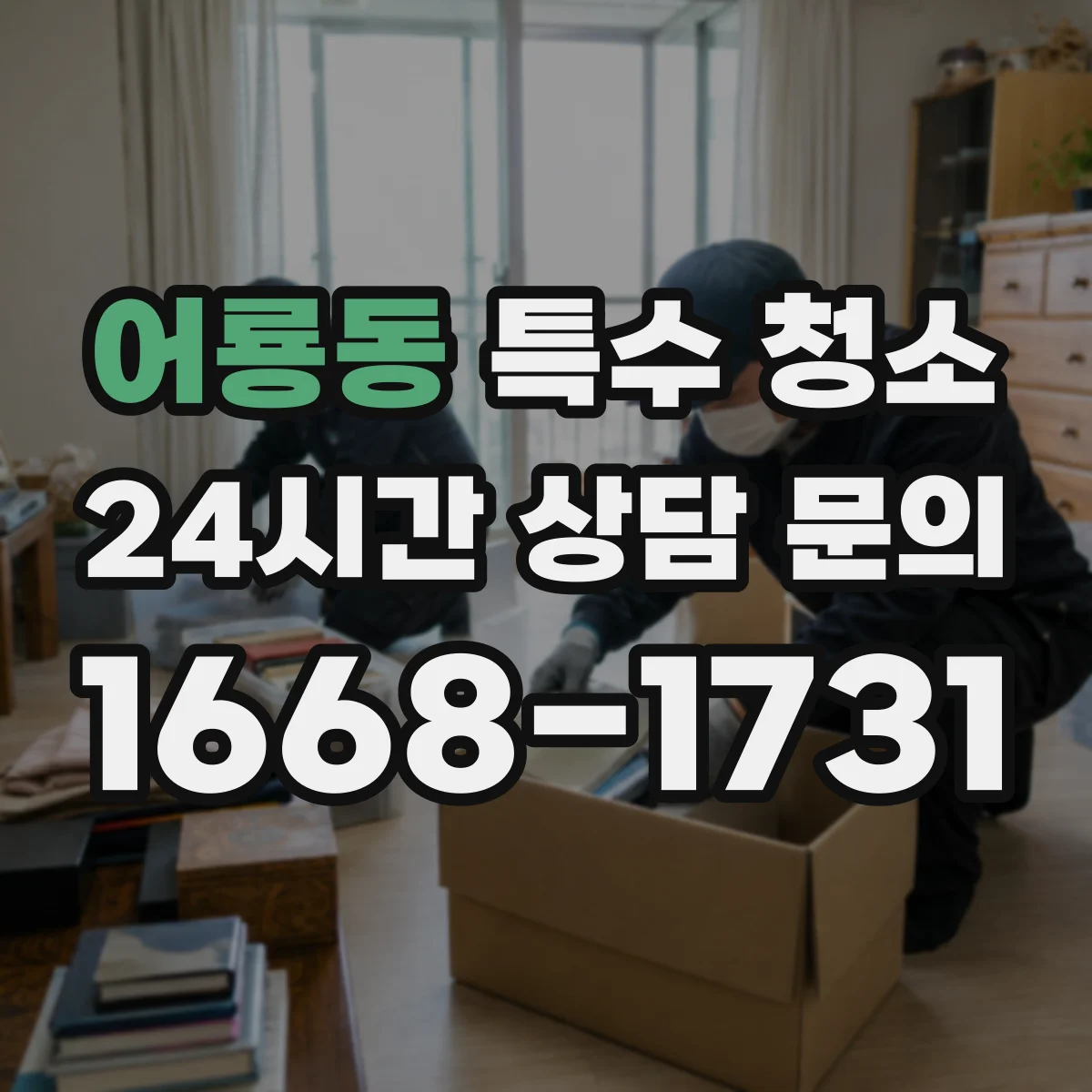 어룡동 특수 청소