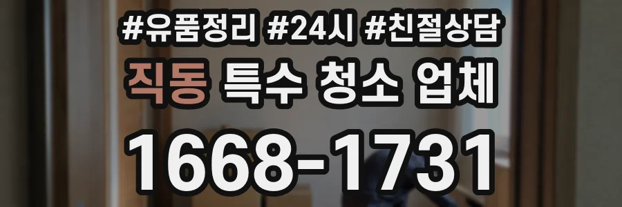 직동 특수 청소 업체