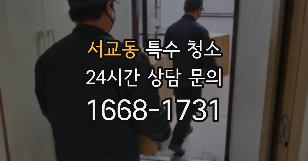 서교동 특수 청소