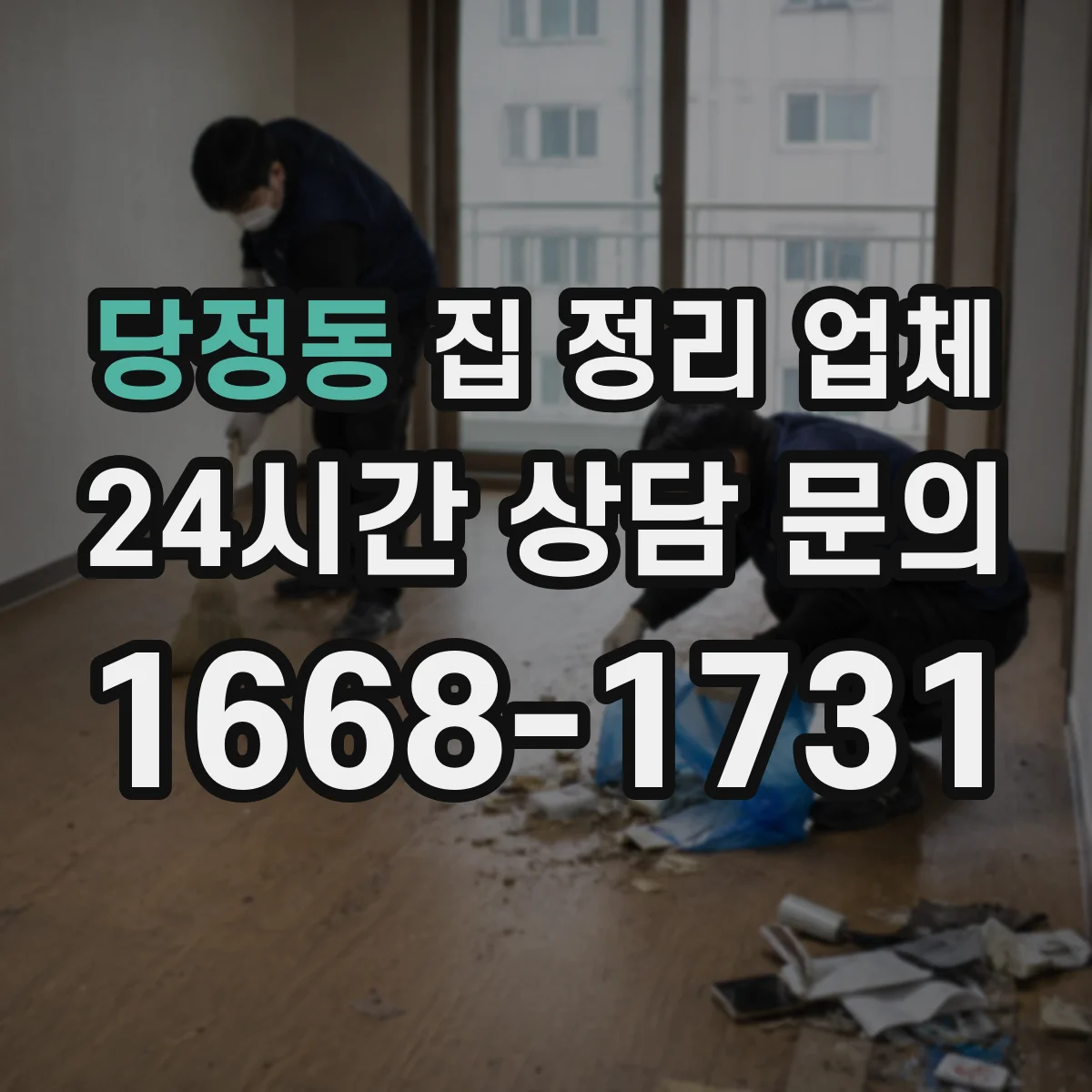 당정동 집 정리 업체