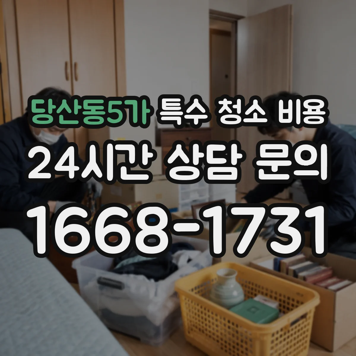 당산동5가 특수 청소 비용