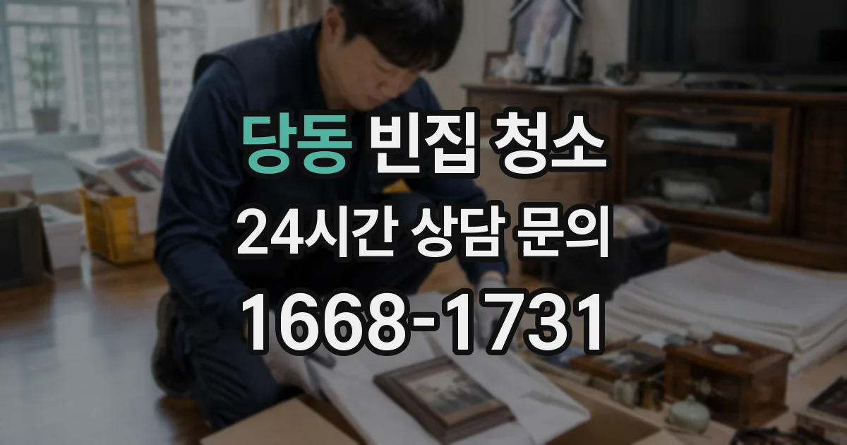 당동 빈집 청소