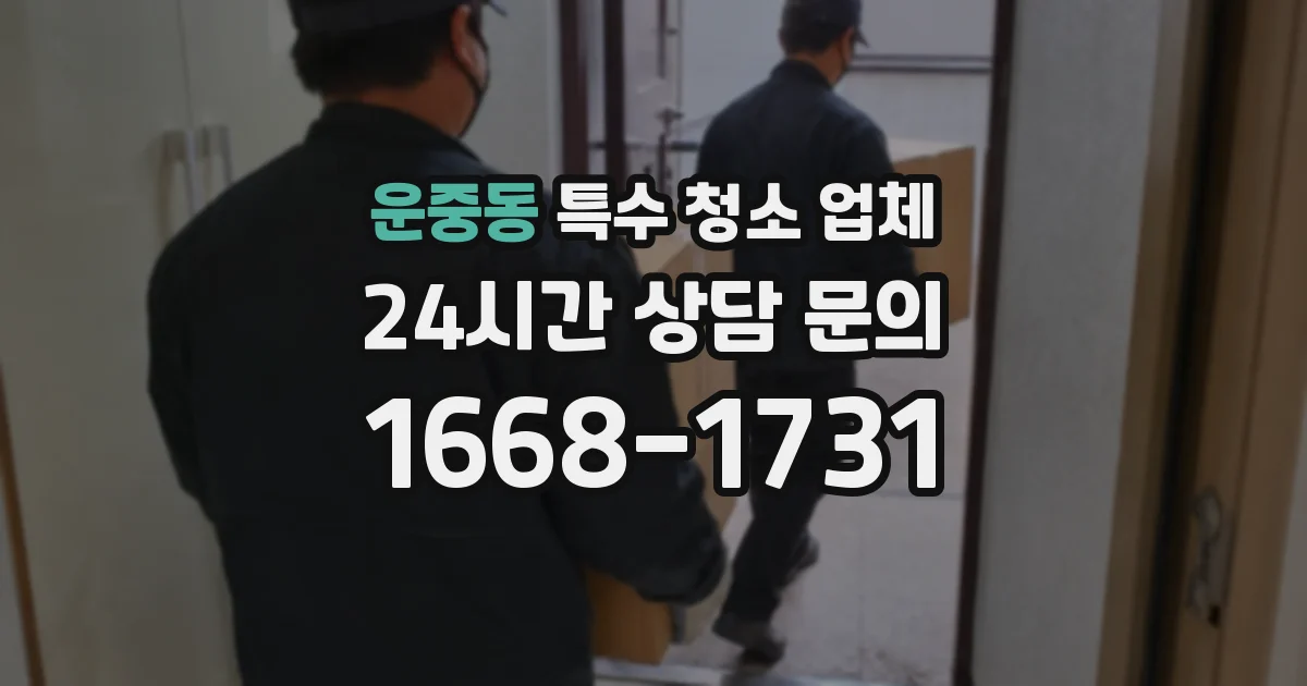 운중동 특수 청소 업체