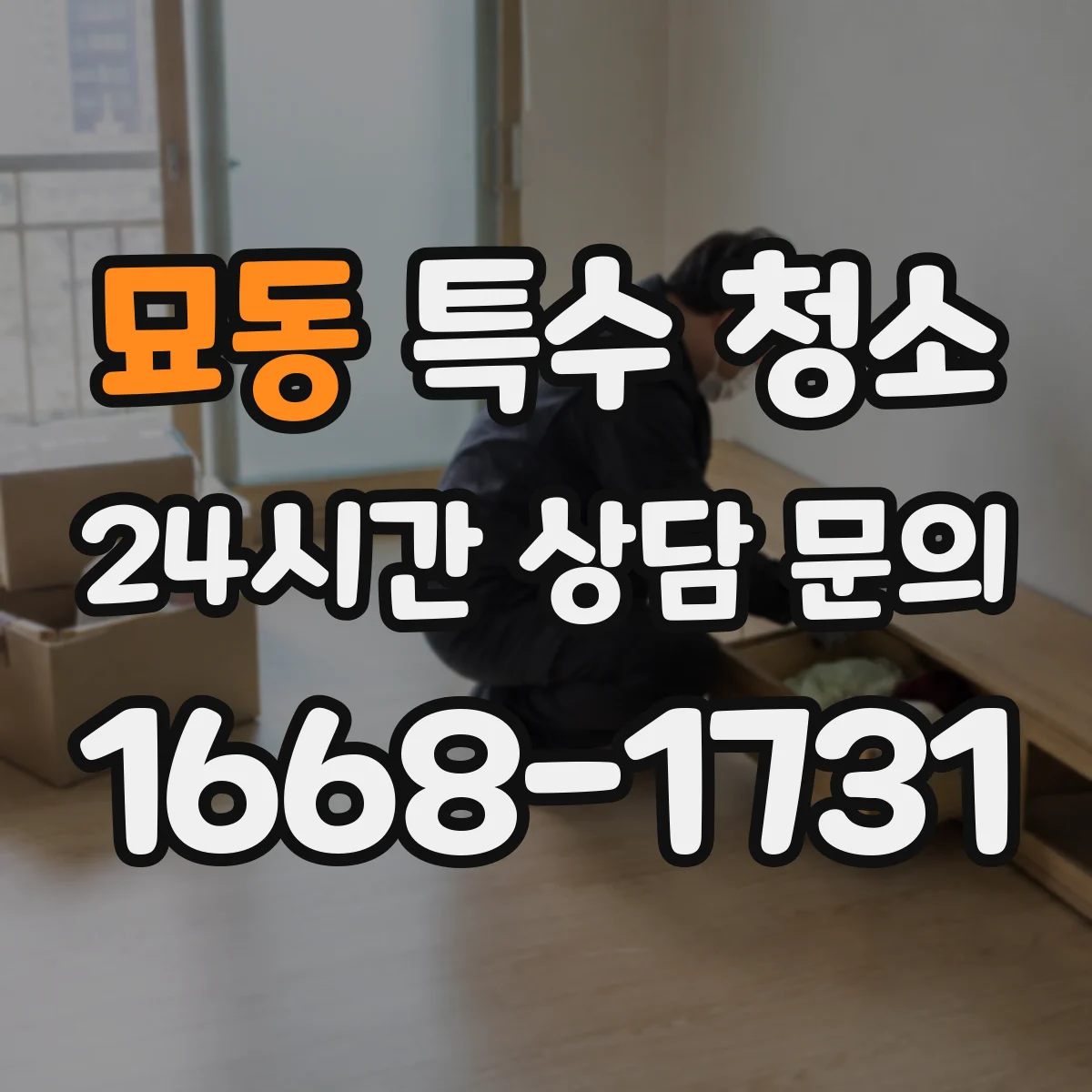 묘동 특수 청소