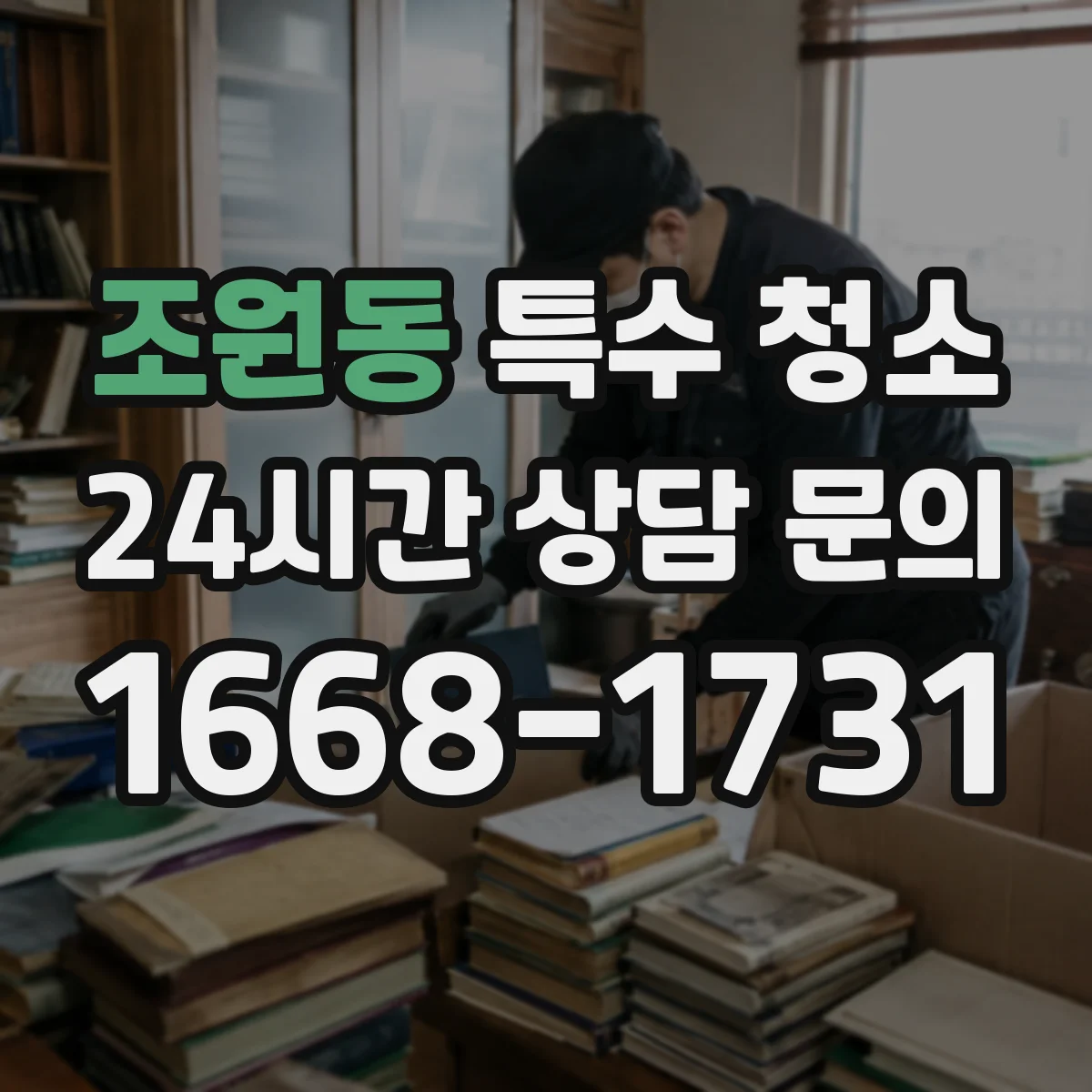 조원동 특수 청소