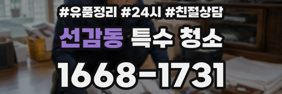 선감동 특수 청소