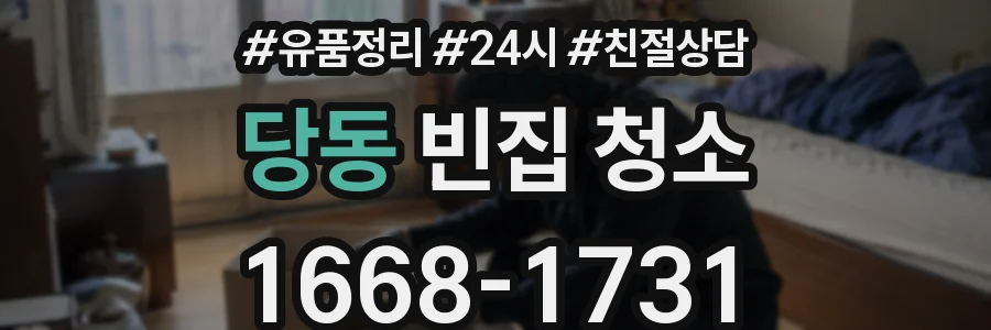 당동 빈집 청소