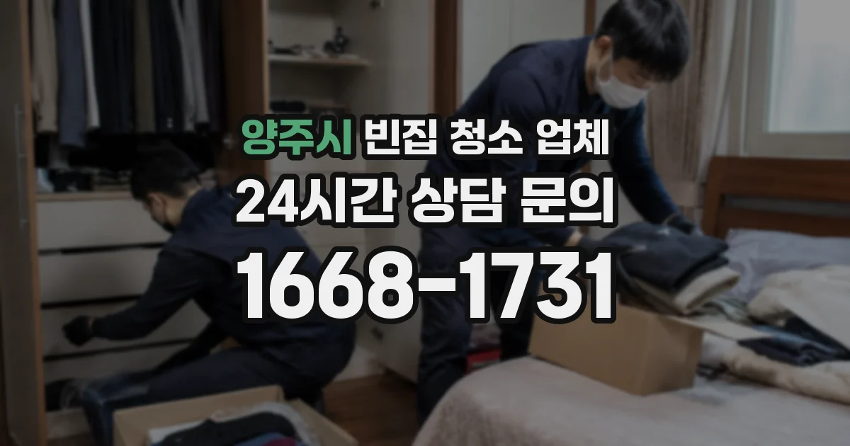 양주시 빈집 청소 업체