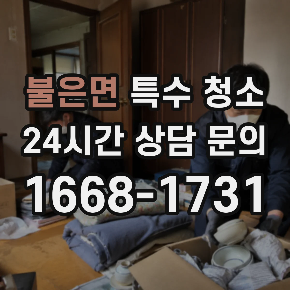불은면 특수 청소
