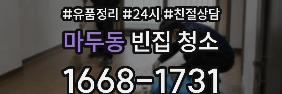 마두동 빈집 청소