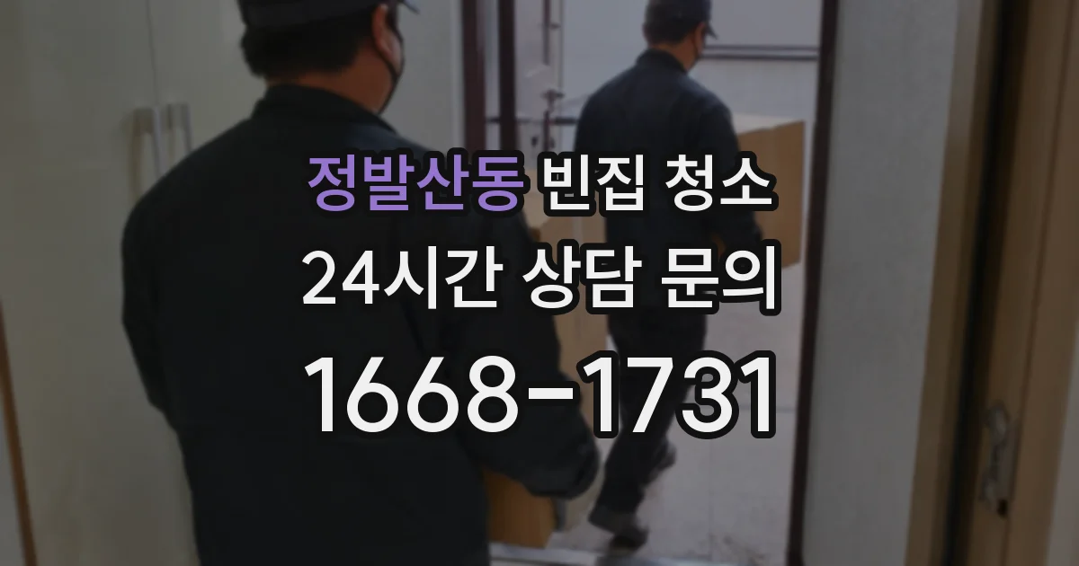 정발산동 빈집 청소