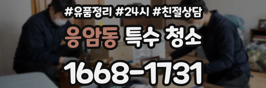 응암동 특수 청소