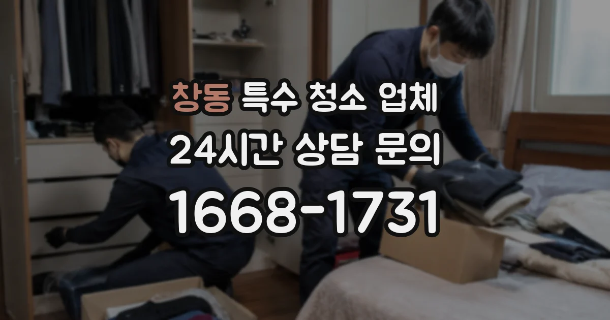 창동 특수 청소 업체