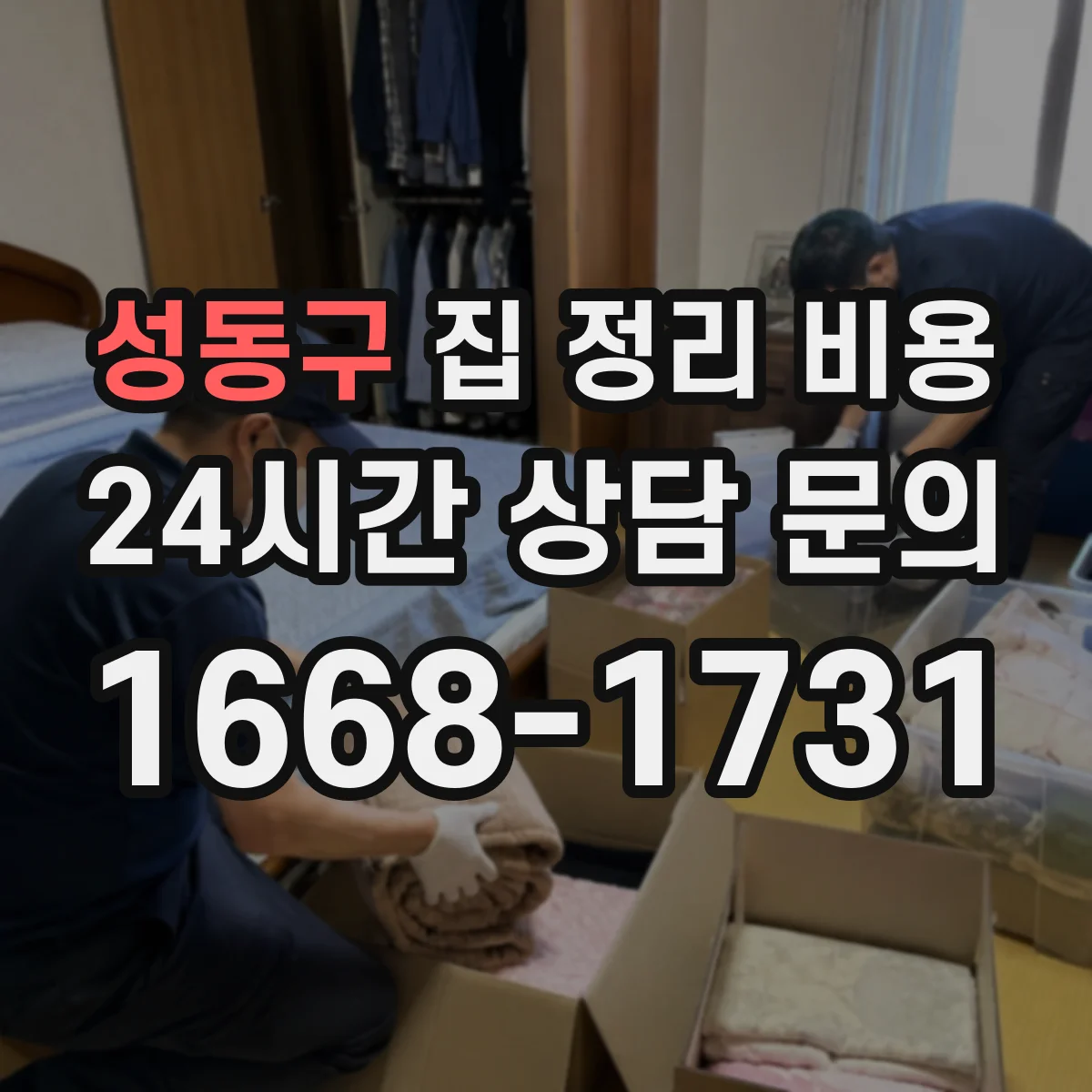 성동구 집 정리 비용