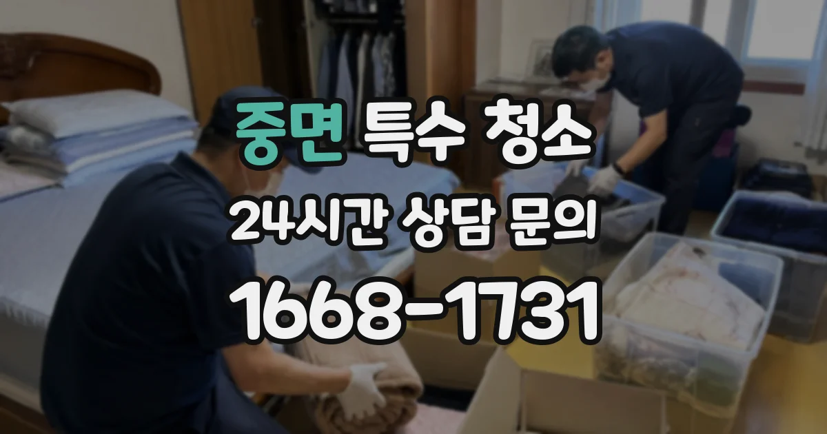중면 특수 청소