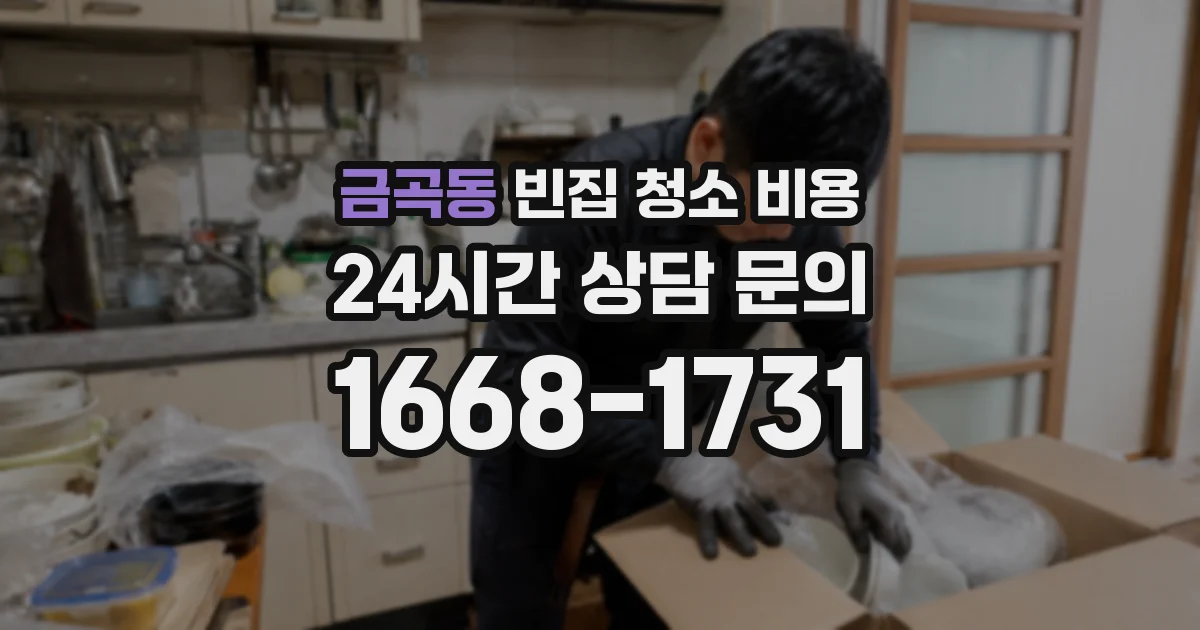 금곡동 빈집 청소 비용