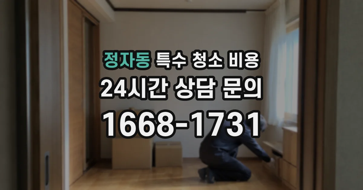 정자동 특수 청소 비용
