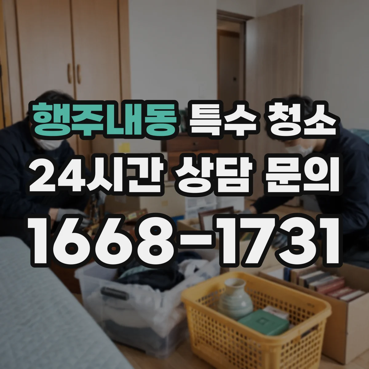 행주내동 특수 청소