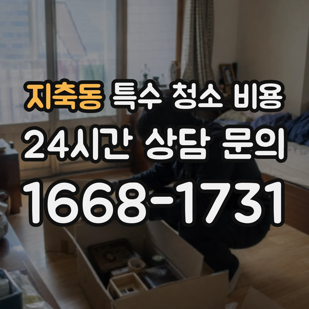 지축동 특수 청소 비용