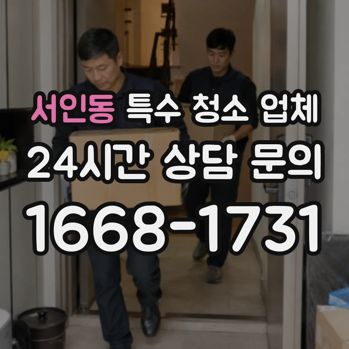 서인동 특수 청소 업체