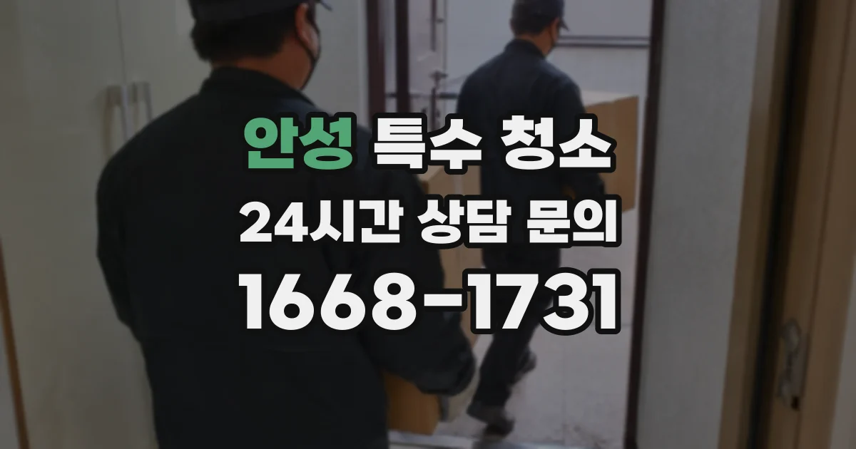 안성 특수 청소