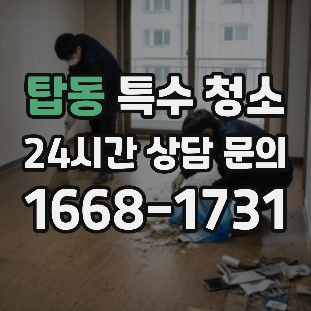 탑동 특수 청소
