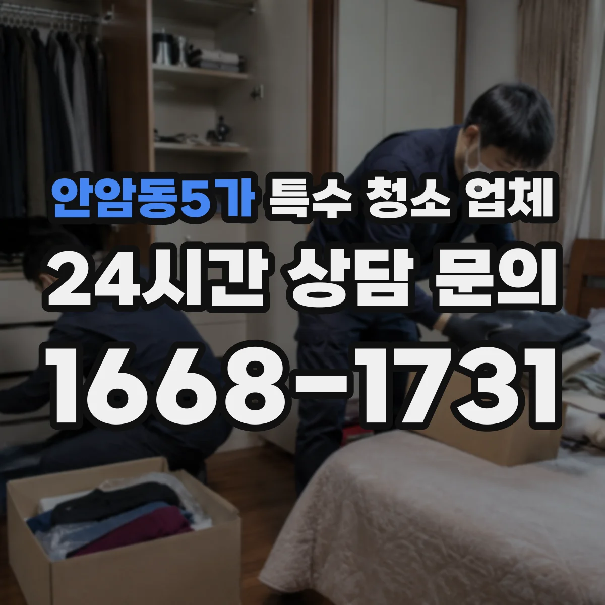 안암동5가 특수 청소 업체