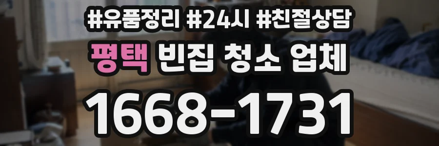 평택 빈집 청소 업체