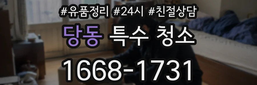 당동 특수 청소