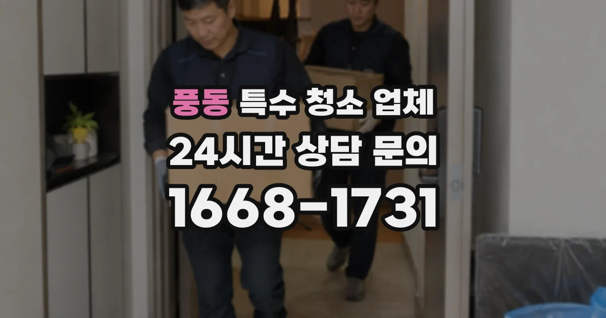 풍동 특수 청소 업체