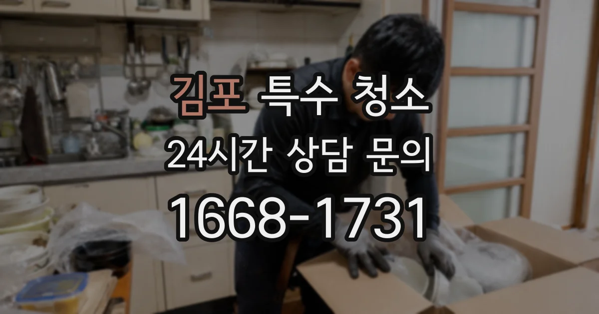 김포 특수 청소