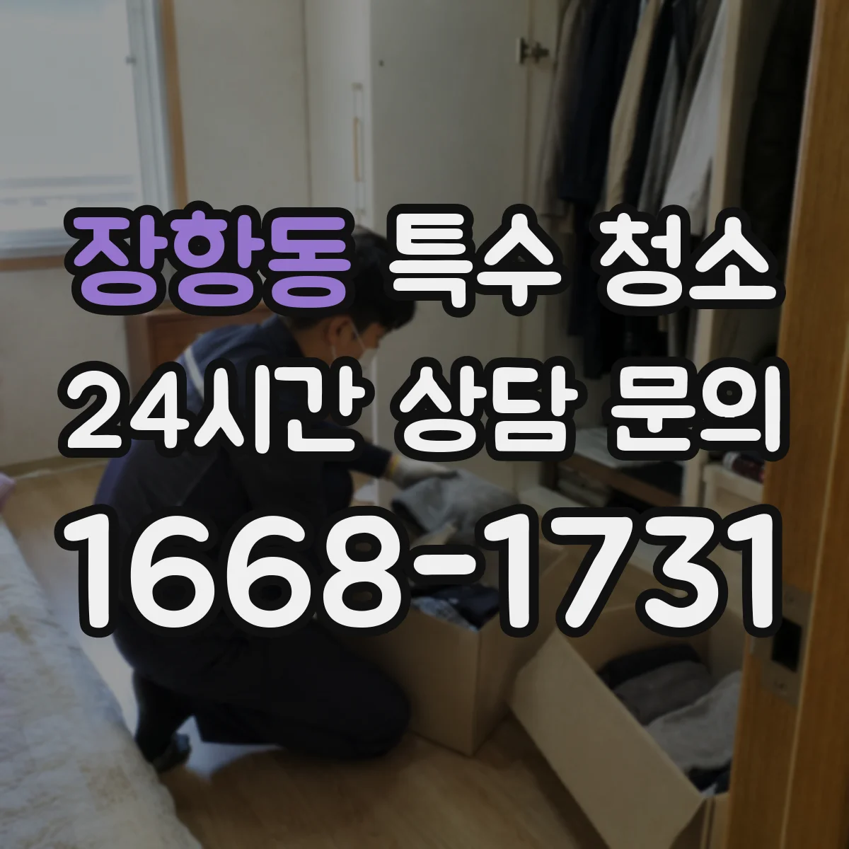 장항동 특수 청소
