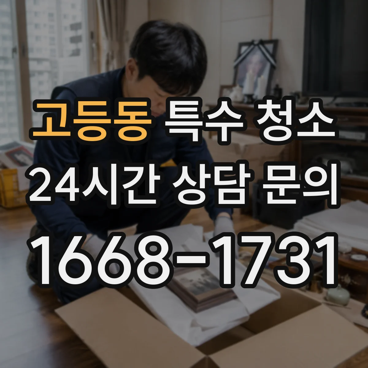 고등동 특수 청소
