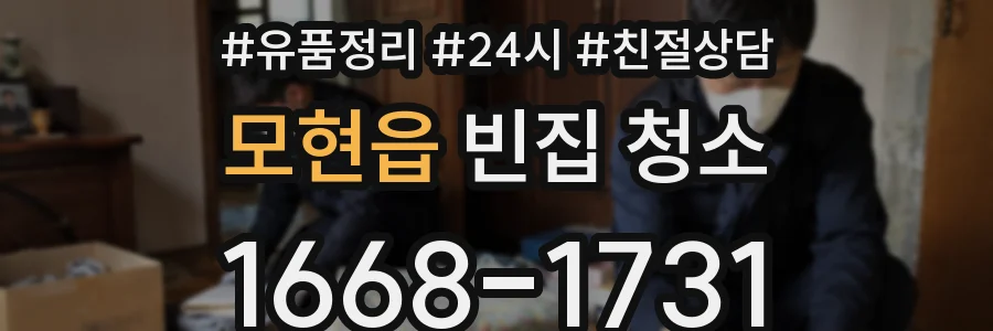 모현읍 빈집 청소