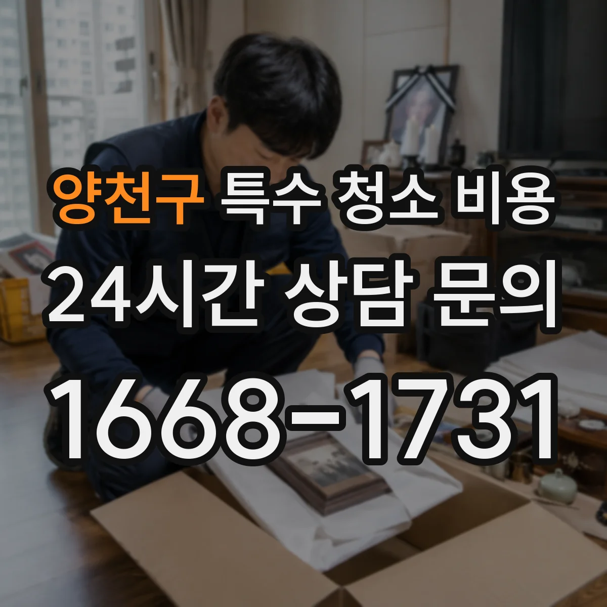 양천구 특수 청소 비용