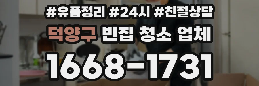 덕양구 빈집 청소 업체